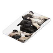 Drei Mops Welpen Magnet (Linke Seite)