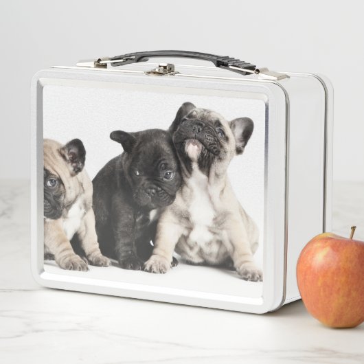 Drei Mops Welpen Metall Brotdose (Beispiel)