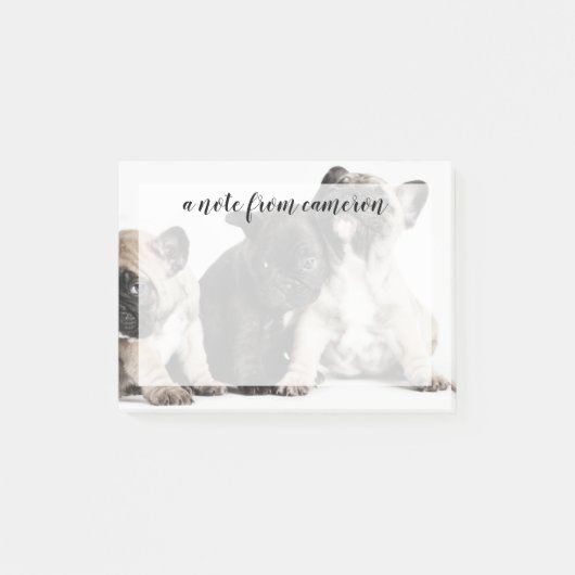 Drei Mops Welpen Post-it Klebezettel (Vorderseite)