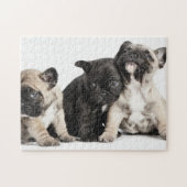 Drei Mops Welpen Puzzle (Horizontal)