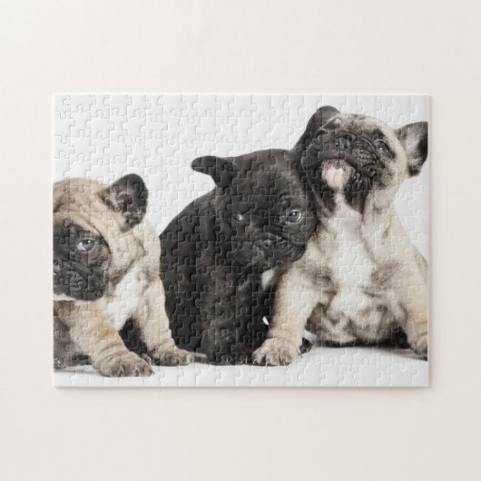 Drei Mops Welpen Puzzle (Horizontal)