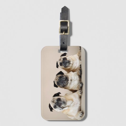 Drei Möpsen Gepäckanhänger (Vorderseite Vertikal)