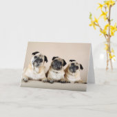 Drei Möpsen Karte (Gelbe Blume)