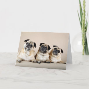 Drei Möpsen Karte