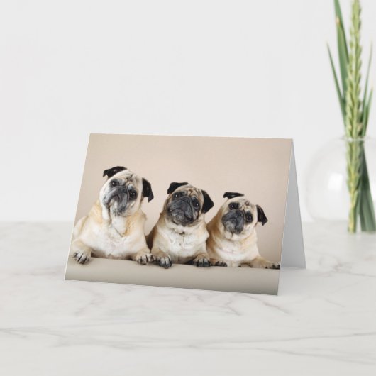 Drei Möpsen Karte (Vorderseite)