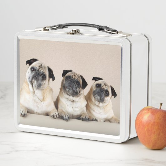 Drei Möpsen Metall Brotdose (Beispiel)