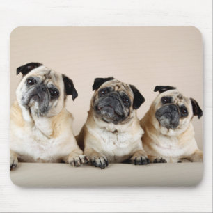Drei Möpsen Mousepad