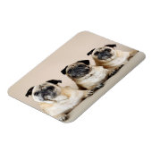 Drei Möpsen nacheinander Magnet (Linke Seite)