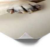 Drei Möpsen nacheinander Poster (Ecke)