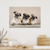 Drei Möpsen nacheinander Poster (Küche)