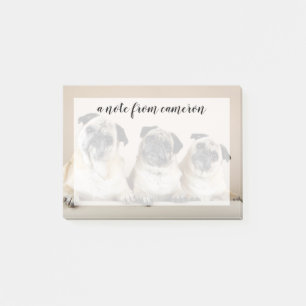 Drei Möpsen Post-it Klebezettel