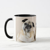 Drei Möpsen Tasse (Links)