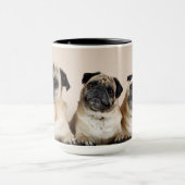 Drei Möpsen Tasse (Zentrum)