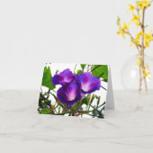 Drei Morgenglorien Karte (Gelbe Blume)