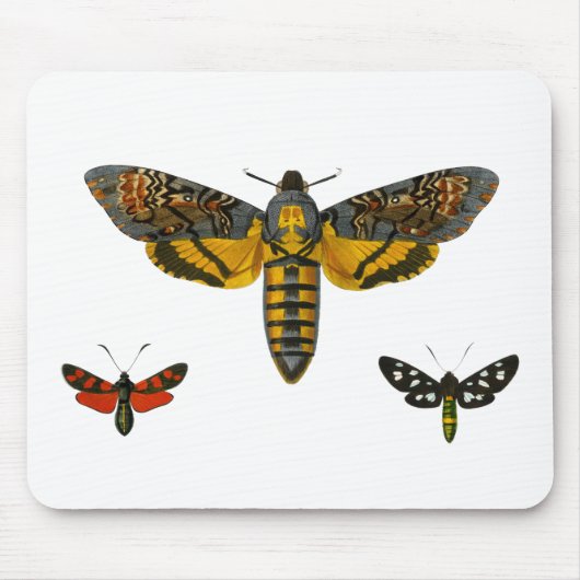 Drei-Moth-Wings-Illustration Mousepad (Vorne)