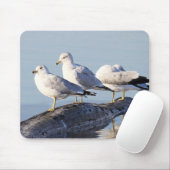 Drei Möwen auf einem Protokoll Mousepad (Mit Mouse)