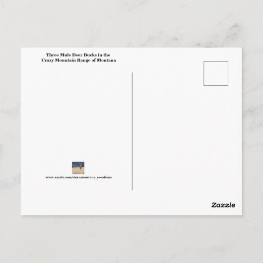 Drei Mule Deer Bucks Postkarte (Rückseite)