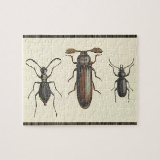 Drei nebeneinander angeordnete Insekten-Puzzle Puzzle