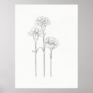Drei Nelken Skizze Kunst drucken Poster