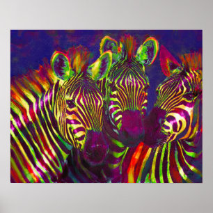 drei Neonzebras Poster