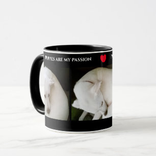 Drei Niedliche Fotos eines schönen weißen Hundes S Tasse