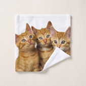 Drei Niedliche Ginger Cat Kittens Friends Head Fot Badhandtuch Set (Waschlappen)