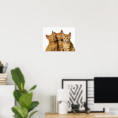 Drei Niedliche Ginger Cat Kittens Friends Head Fot Poster (Heimbüro)