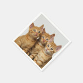 Drei Niedliche Ginger Cat Kittens Friends Head Fot Serviette (Ecke)