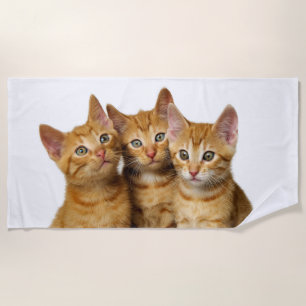Drei Niedliche Ginger Cat Kittens Friends Head Fot Strandtuch