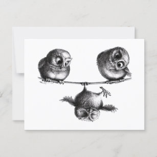Drei Niedliche glückliche Sporty Owls Postkarte