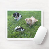 Drei niedliche Grashunde Mousepad (Mit Mouse)