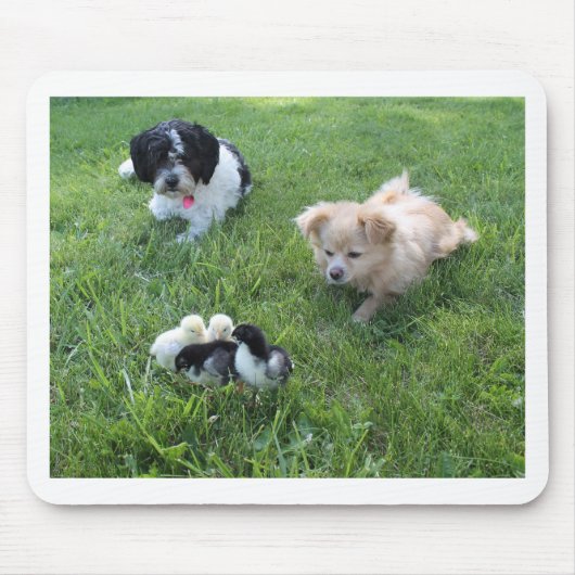 Drei niedliche Grashunde Mousepad (Vorne)