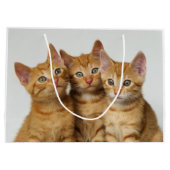 Drei niedliche Ingwerkätzchen nebeneinander Große Geschenktüte (Rückseite)