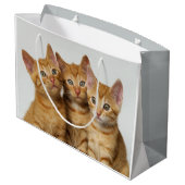 Drei niedliche Ingwerkätzchen nebeneinander Große Geschenktüte (Rückseite Schrägansicht)