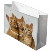 Drei niedliche Ingwerkätzchen nebeneinander Große Geschenktüte (Vorderseite Schrägansicht)