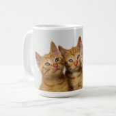 Drei niedliche Ingwerkätzchen nebeneinander Kaffeetasse (Vorderseite Links)