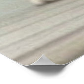 Drei Niedliche kleine Welpen posieren für die Kame Poster (Ecke)