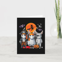 Drei Niedliche Mules Cosplay Pirate Boo Mummy Hall