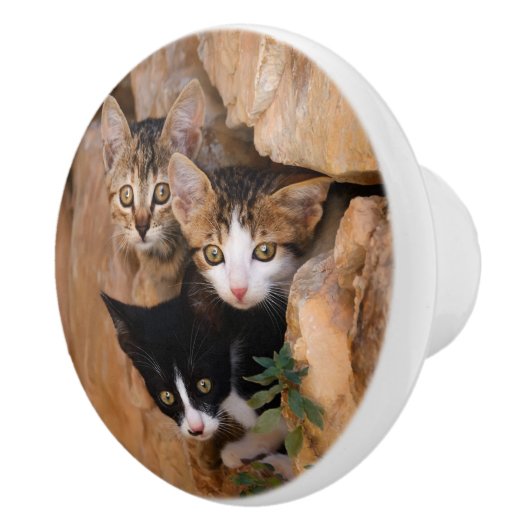 Drei niedliche Neugeborene Keramikknauf (Rechts)