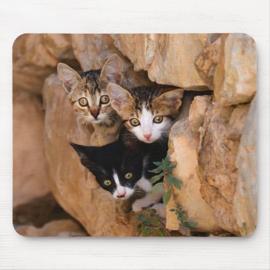 Drei niedliche Neugeborene Mousepad (Vorne)
