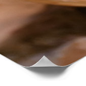 Drei niedliche Neugeborene Poster (Ecke)