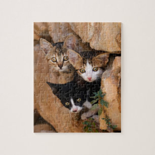 Drei niedliche, neugierige Kätzchen an der Wand Puzzle