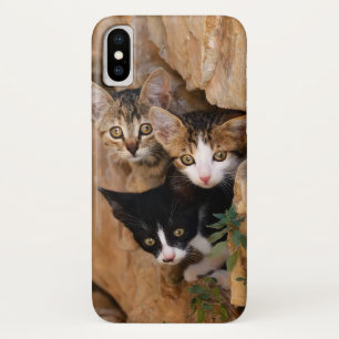 Drei Niedliche Neugierige Katzen Kätzchen Faces Fu Case-Mate iPhone Hülle