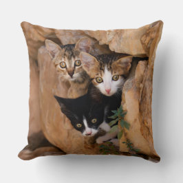 Drei Niedliche Neugierige Katzen Kätzchen Faces Fu Kissen