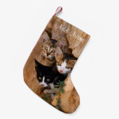 Drei Niedliche Neugierige Katzen Kätzchen Faces Fu Kleiner Weihnachtsstrumpf (Vorderansicht (hängend))