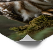 Drei Niedliche Nördliche Sägemehl Poster (Ecke)