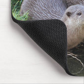 Drei niedliche Otter-Tier-Fotografie Mousepad (Ecke)