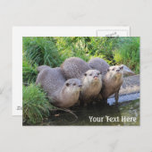 Drei Niedliche Otters Wildlife Fotografy Postkarte (Vorne/Hinten)