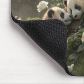 Drei Niedliche Pandas Mousepad (Ecke)