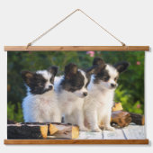Drei Niedliche Papillon Puppas Wandteppich Mit Holzrahmen (Vorne)